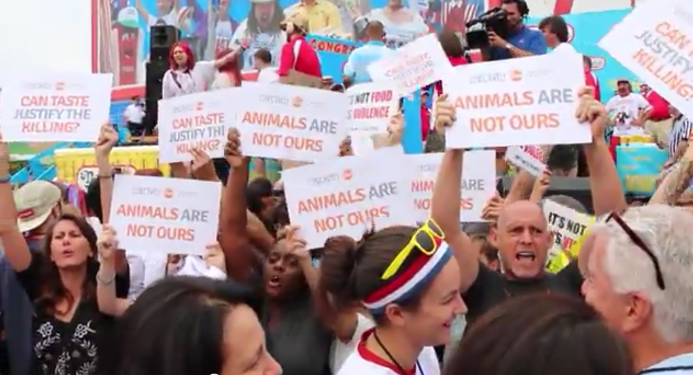 (Photo by Collectively Free youtube screenshot)