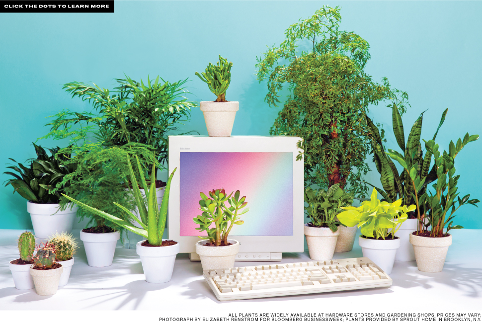 (Photo by bloomberg)