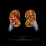 One third - a project on food waste