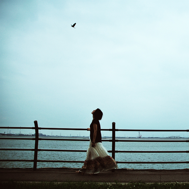 (Photo by chikache)