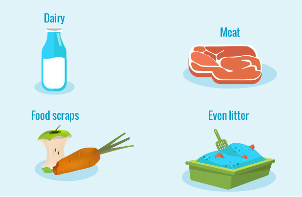 (Photo by homebiogas)