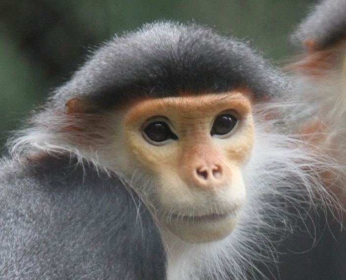 (Photo by よこはま動物園ズーラシア)