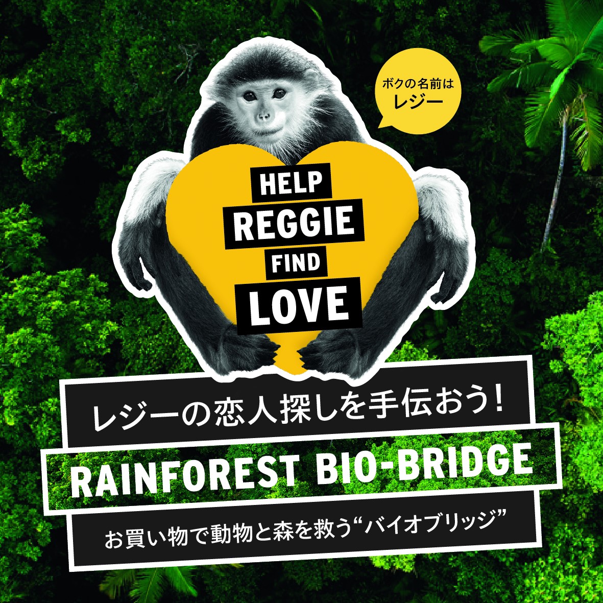 (Photo by THE BODY SHOP)