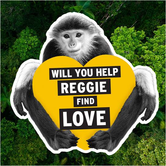 “reggie-01(1)"